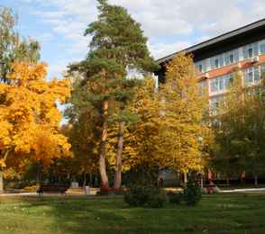 Санаторий «Солотча», фото 109