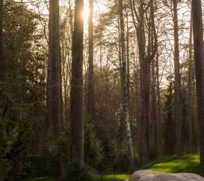 Курорт «Первая линия», фото 2