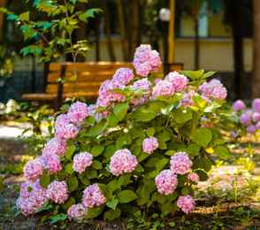 Санаторий «Славутич», фото 97