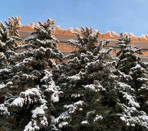 Санаторий «Синяя птица», фото 67