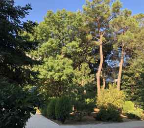 Санаторий «Русь», фото 45