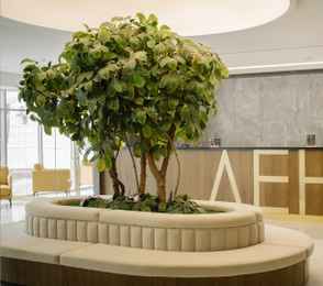 Санаторий им. В.И. Ленина, фото 12