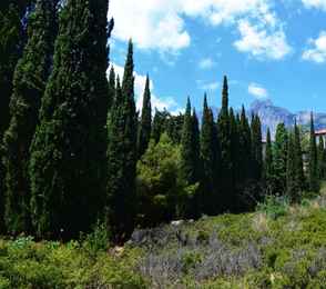 Санаторий «Ай-Петри», фото 43