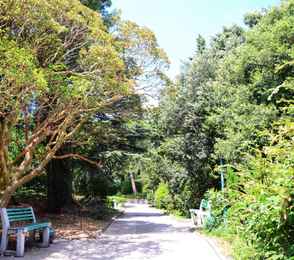 Санаторий «Ай-Петри», фото 72