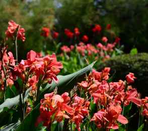 Санаторий «Ай-Петри», фото 74