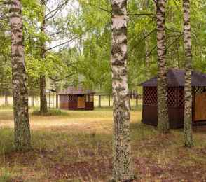 Санаторий «Золотой колос», фото 9