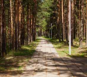 Санаторий «Золотой колос», фото 13