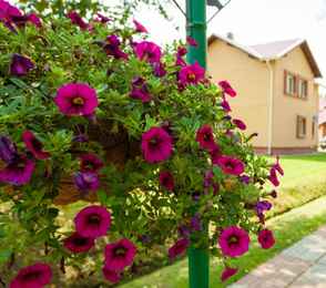 Санаторий «Виктория», фото 6