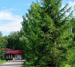 Санаторий «Юбилейный», фото 36