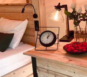 Отель «ЛЕС Глэмпинг и спа», фото 19