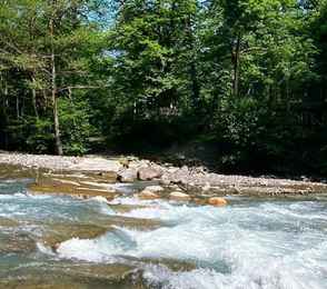 Отель «ЛЕС Глэмпинг и спа», фото 35