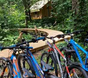 Отель «ЛЕС Глэмпинг и спа», фото 34