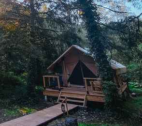 Отель «ЛЕС Глэмпинг и спа», фото 42