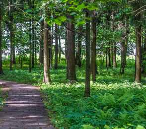 Загородный отель «Атлас Парк Отель», фото 19