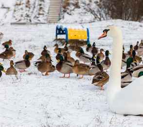 Санаторий «Пралеска», фото 23