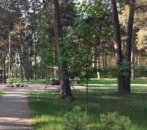 Санаторно-курортная организация «Брестагроздравница» (до 2003 года санаторий "Берестье"), фото 33