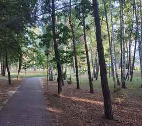 Санаторно-курортная организация «Брестагроздравница», фото 200366