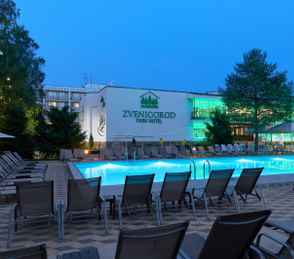 Парк-отель ZVENIGOROD, фото 65