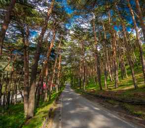 Курортный комплекс «Армхи», фото 3