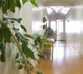 Санаторий «Светлана», фото 27