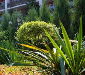 Туристско-оздоровительный комплекс «Евпатория», фото 3