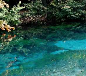 Санаторий «Крутушка», фото 44