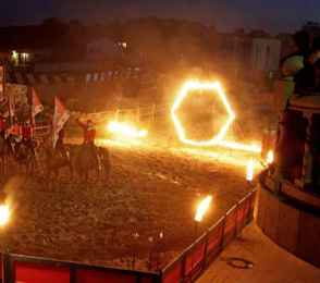 Отель «Нессельбек», фото 2