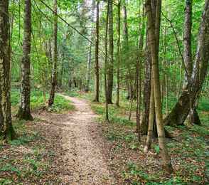 LESNOY Парк Отель, фото 25