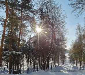 Семейный курорт «Утес», фото 35