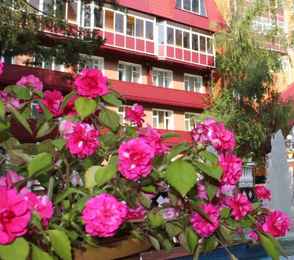 Санаторий-профилакторий «ЯН», фото 18