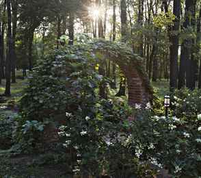 ЯР Hotel&SP, фото 19