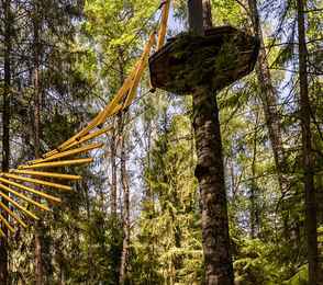 Конгресс-отель «Пересвет», фото 33