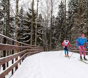 Конгресс-отель «Пересвет», фото 54