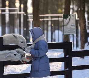 Комфорт-отель «Пересвет», фото 58