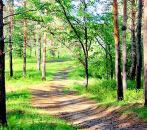 Санаторий «Бузули», фото 9