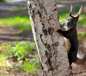 Санаторий «Бузули», фото 10