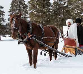 Arkhyz Royal Resort & SPA, фото 27