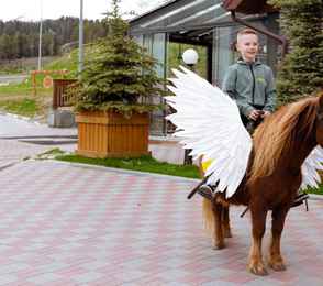 Arkhyz Royal Resort & SPA, фото 34