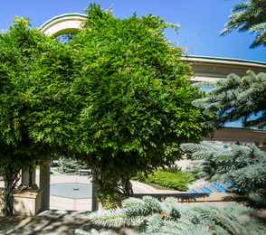 Санаторий «Аквамарин», фото 53