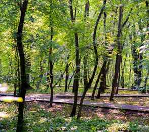 Санаторий «Долина Нарзанов Железноводск», фото 21