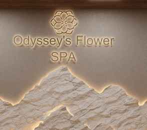 Отель «Грейс Глобал», фото 24