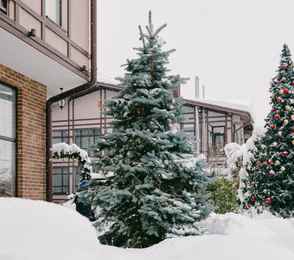 Отель «Грейс Империал», фото 69