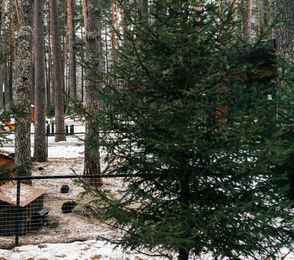 Парк-отель «Сказка Алтая», фото 64