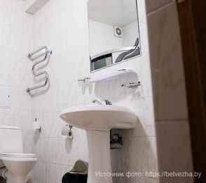 Гостиничный Комплекс «Парк-отель "Беловежская пуща"», фото 23