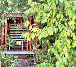 Эко-отель «Лоза Хутор All inclusive & Spa», фото 32