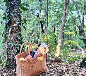 Эко-отель «Лоза Хутор All inclusive & Spa», фото 33