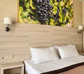 Эко-отель «Лоза Хутор All inclusive & Spa», фото 77