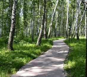 Санаторий «Березовая роща» Ялуторовск, фото 7