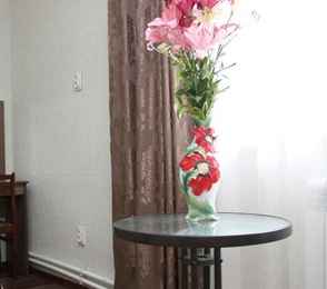 Санаторий «Березовая роща» Ялуторовск, фото 22