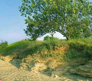 Санаторий-профилакторий «Рожок» ФНС России, фото 2